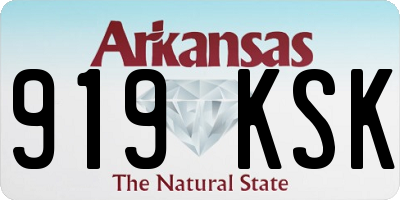 AR license plate 919KSK