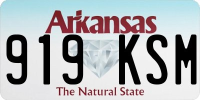 AR license plate 919KSM