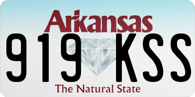 AR license plate 919KSS