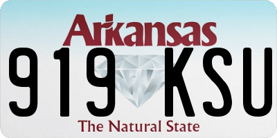 AR license plate 919KSU