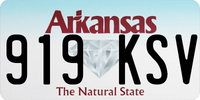 AR license plate 919KSV