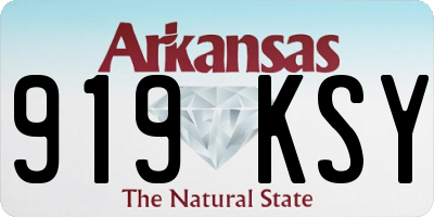 AR license plate 919KSY
