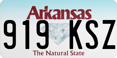 AR license plate 919KSZ