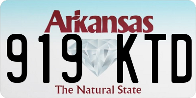 AR license plate 919KTD