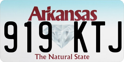 AR license plate 919KTJ