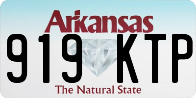 AR license plate 919KTP