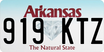 AR license plate 919KTZ