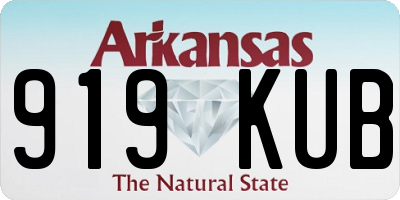 AR license plate 919KUB