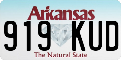 AR license plate 919KUD