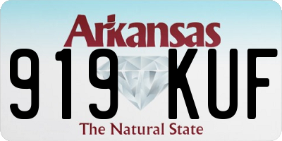 AR license plate 919KUF