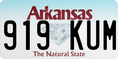AR license plate 919KUM