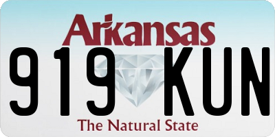 AR license plate 919KUN