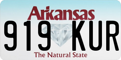 AR license plate 919KUR