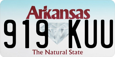 AR license plate 919KUU