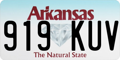 AR license plate 919KUV