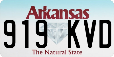AR license plate 919KVD