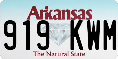 AR license plate 919KWM