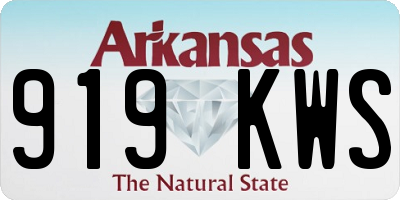 AR license plate 919KWS