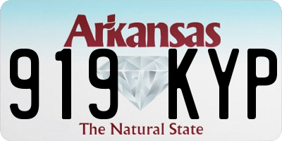 AR license plate 919KYP