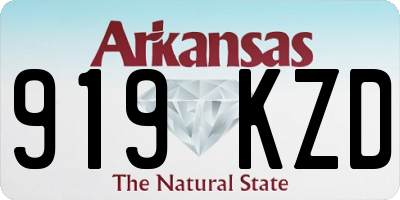 AR license plate 919KZD
