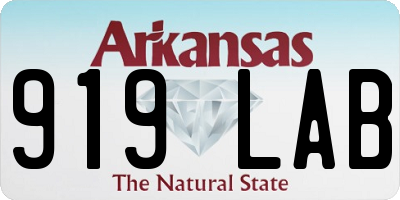 AR license plate 919LAB