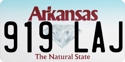 AR license plate 919LAJ