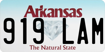AR license plate 919LAM