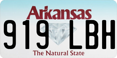 AR license plate 919LBH