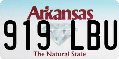 AR license plate 919LBU