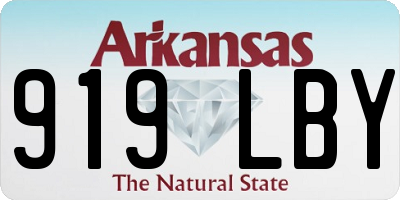 AR license plate 919LBY