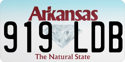 AR license plate 919LDB