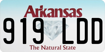 AR license plate 919LDD