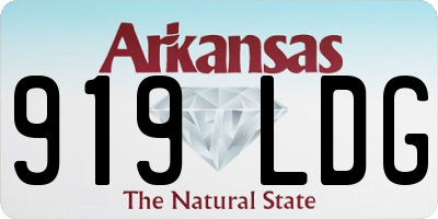 AR license plate 919LDG