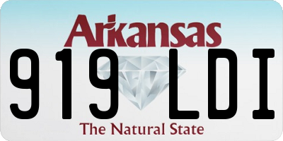 AR license plate 919LDI