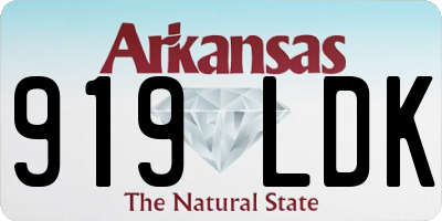 AR license plate 919LDK