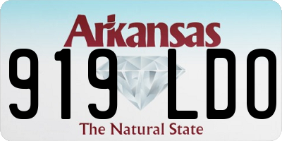 AR license plate 919LDO