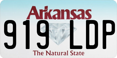 AR license plate 919LDP