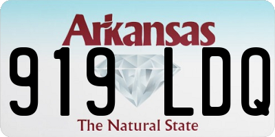 AR license plate 919LDQ