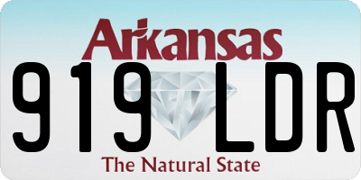 AR license plate 919LDR
