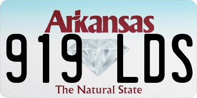 AR license plate 919LDS