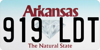 AR license plate 919LDT
