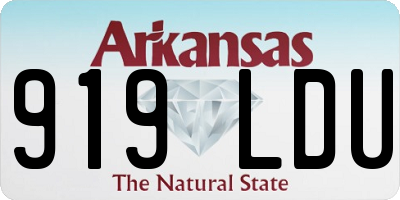 AR license plate 919LDU
