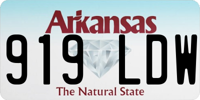AR license plate 919LDW
