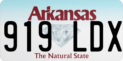 AR license plate 919LDX
