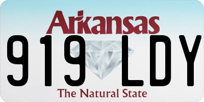 AR license plate 919LDY