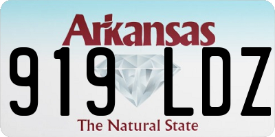 AR license plate 919LDZ