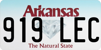 AR license plate 919LEC