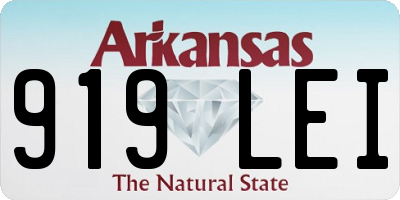 AR license plate 919LEI