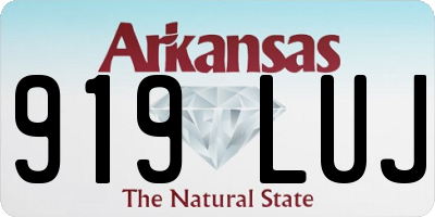 AR license plate 919LUJ