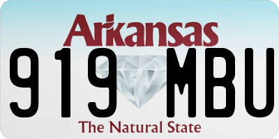 AR license plate 919MBU